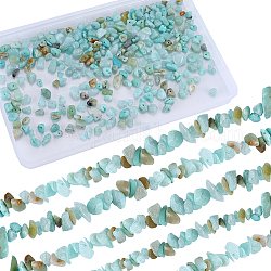 Sunnyclue 4 fili di perline con chip di amazzonite naturale, 5~8x5~8mm, Foro: 1 mm, circa 31.5 pollice