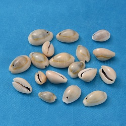 Perle naturali di conchiglia di ciprea, tinto, colore conchiglia, 10~17x10~11x7~9mm, Foro: 2 mm