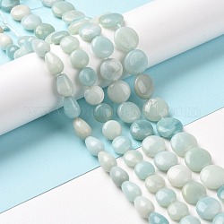 Chapelets de perles en amazonite naturelle, formes mixtes, 10~14x5~8.5mm, Trou: 1~1.2mm, Environ 29~40 pcs/chapelet, 15.75~16.14 pouce (40~41 cm)