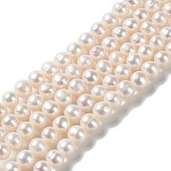 Natural Cultured Freshwater Pearl Beads Strands, Potato, Grade 3A++, PapayaWhip, 7~8x6.5~7mm, Hole: 0.5mm, about 60pcs/strand, 15.35''(39cm)