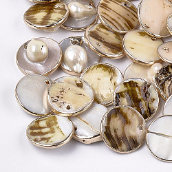 Pendentif keshi shell perle, plat rond, couleur de coquillage, 19~20x5~10mm, Trou: 1.2mm