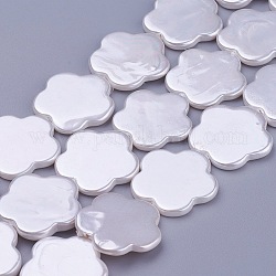 Shell Perlen Stränge, Blume, weiß, 23x23.5~24x3 mm, Bohrung: 0.7 mm, ca. 18 Stk. / Strang, 15.9 Zoll (40.5 cm)