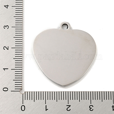 Не тускнеющие подвески из нержавеющей стали ко Дню учителя 201 STAS-L079-23P-04-1