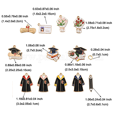 24 шт. ENAM-FP0001-79-1