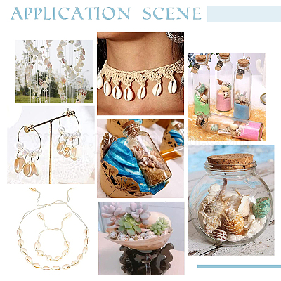 6 стиль натуральные смешанные бусины из ракушек каури BSHE-HY0001-01-1