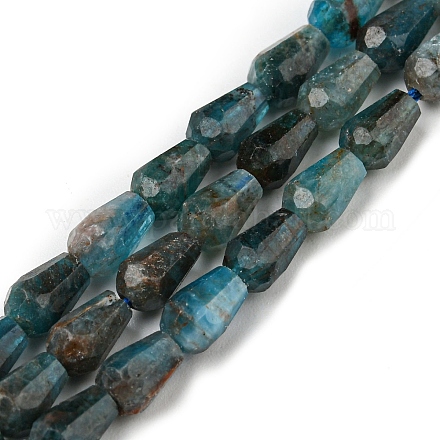 Natural Apatite Beads Strands G-C080-B06-01-1