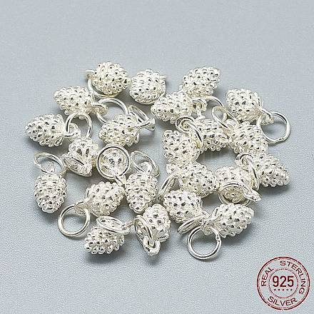 925 Sterling Silver Charms STER-T002-297S-1