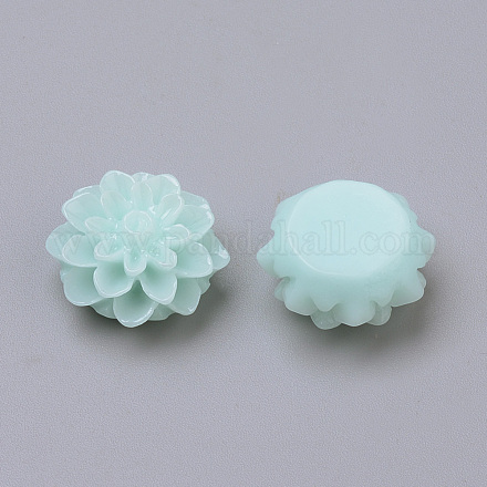 Resin Cabochons RB772Y-16-1
