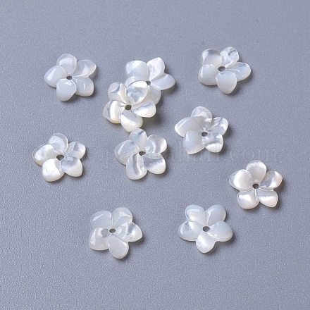 Perlas de concha de nácar de concha blanca natural BSHE-L043-14-1