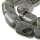Natural Labradorite Beads Strands G-M420-M02-02-4