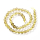 Natural Gold Rutilated Quartz Beads Strands X-G-S150-17-8mm-8