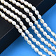 Natural Cultured Freshwater Pearl Beads Strands PEAR-N012-04B-6