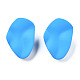 Accessoires de puces d'oreilles en fer peints au spray IFIN-N008-020B-2