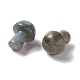 Натуральный камень лабрадорит гуаша G-A205-26B-3