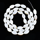Eau douce naturelle de coquillage perles brins SHEL-Q024-017-2