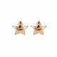 Серьги-гвоздики со звездами для женщин EJEW-S213-03A-01G-RS-1