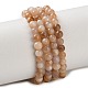 Натуральная розовая оболочка из бисера пряди SHEL-D002-A01-3mm-2