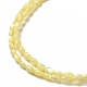 Brins de perles de coquillages naturels de troca SHEL-K006-19C-3
