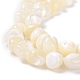 Perles en coquillage naturel BSHE-B003-19-4