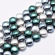 Shell Pearl Beads Strands BSHE-F001-01-2