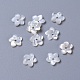 Natural White Shell Mother of Pearl Shell Beads BSHE-L043-14-1