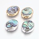 Perle di conchiglia abalone naturale / conchiglia paua G-O168-13-1