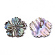 Natural Paua Shell/Abalone Shell Beads X-SSHEL-R046-02-2