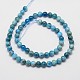 Natural Apatite Beads Strands X-G-D856-01-6.5mm-2