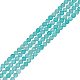 arricraft About 260 Pcs 2 Strands Natural Amazonite Beads G-AR0005-30-1