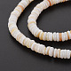 Eau douce naturelle de coquillage perles brins SHEL-T018-31-4