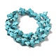 Chapelets de perles en turquoise synthétique G-P507-08B-3