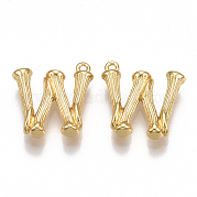 Brass Pendants KK-T038-193G-W