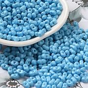Выпечка краска стеклянные бусины SEED-K009-01A-06