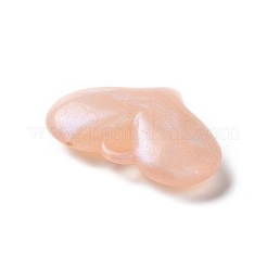 Светящиеся акриловые подвески&nbsp;OACR-E010-27E