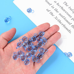 Прозрачные акриловые подвески MACR-S373-125-B10