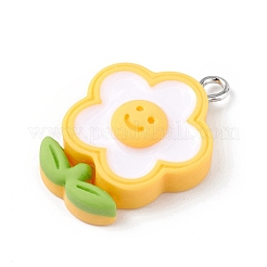 Подвески из непрозрачной смолы&nbsp;RESI-D064-03P-07