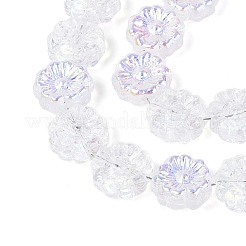 Гальванизируйте прозрачное стекло бисер нитей&nbsp;EGLA-N055-01J