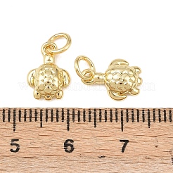 Messing Anhänger & Charms&nbsp;KK-P339-05G