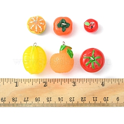 24шт 6 стиля непрозрачные подвески из смолы&nbsp;RESI-FS0001-48