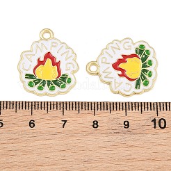 Pendentifs d'émail en alliage&nbsp;AL-CBA6AEB-06G-02