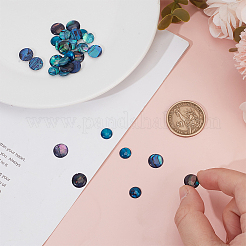 30 шт. 2 стиля кабошонов из ракушек абалона/пауа SSHEL-HY0001-11