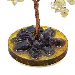 Украшения для витрин из натурального желтого кварца и аметиста пахиры глабра&nbsp;DJEW-K025-06C