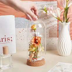 Стеклянный купол&nbsp;AJEW-WH0604-68B