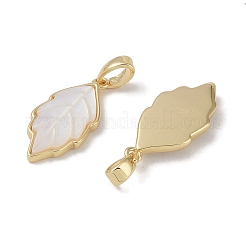 Латунные подвески из ракушек KK-G497-06G