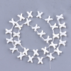 Perles de coquille d'eau douce&nbsp;X-SHEL-T012-59X