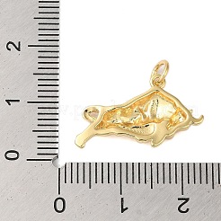 Стойки обшивки латунные подвески&nbsp;KK-S372-07G