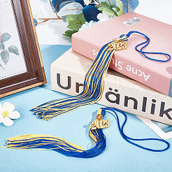 2 шт. 2-х цветный полиэстер с 2023 кисточками подвесные украшения HJEW-GF0001-33