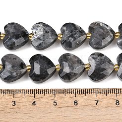 Натуральные нити бус из ларвикита G-P592-B05-01