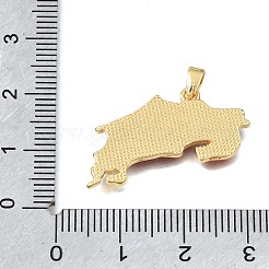 Pendentifs d'émail en laiton &nbsp;KK-C263-30A-G
