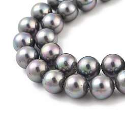 Shell-Perle Perle Stränge&nbsp;BSHE-L025-07-8mm